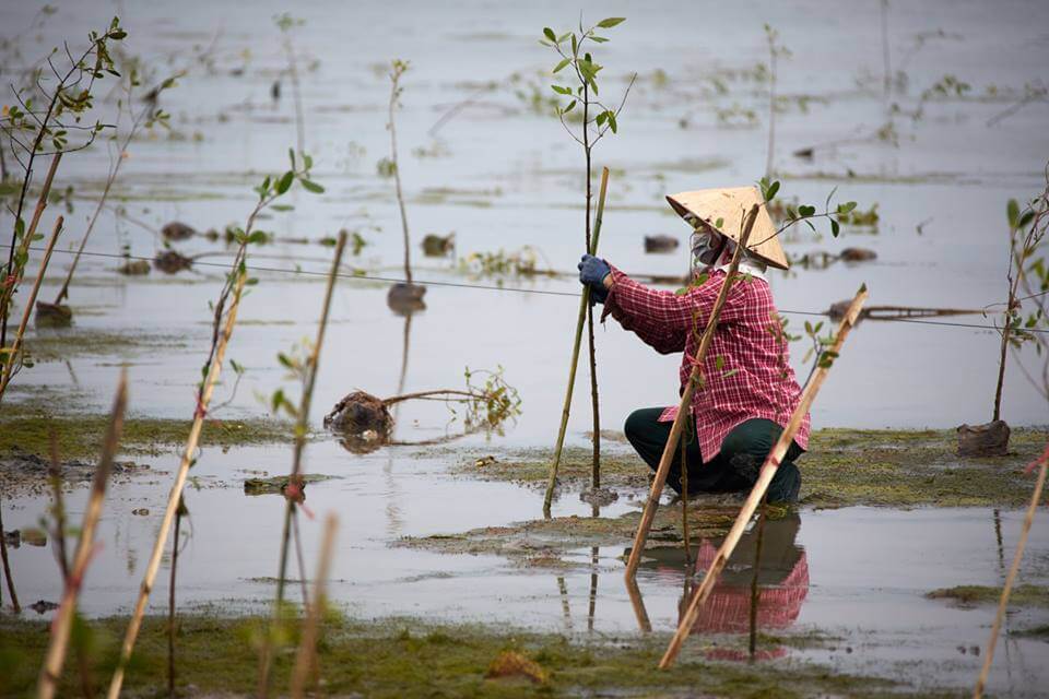 Phụ nữ, EbA và Chống chịu với lũ lụt ở Miền Trung, Việt Nam